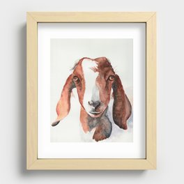 Boer Goat Watercolor Recessed Framed Print