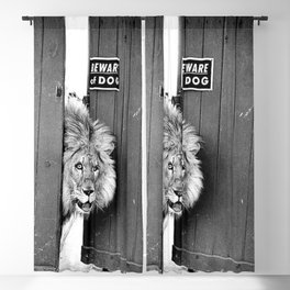 Beware of Dog black and white photograph of attack lion humorous black and white photography Blackout Curtain