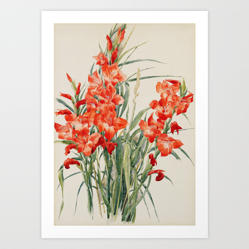 Charles Demuth Red Gladioli Art Print By Fineartpaintings Society6