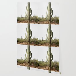 Cactus Plant Wallpaper For Any Decor Style Society6