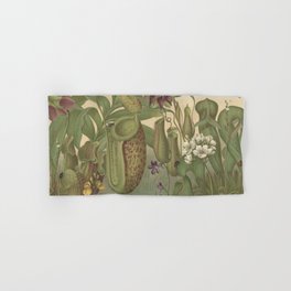 Antique Carnivorous Plants Lithograph Hand & Bath Towel