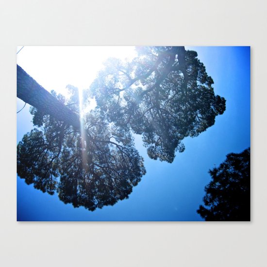 Wiser than I Canvas Print