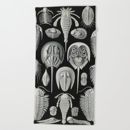 Ernst Haeckel Horseshoe Crab Vintage Illustration Beach Towel