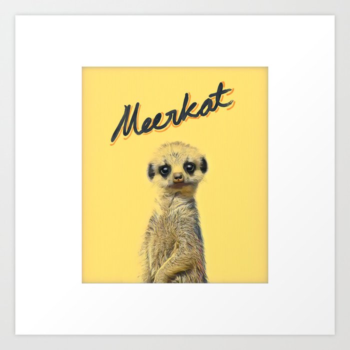 Meerkat | Yellowcard NO.1 Art Print