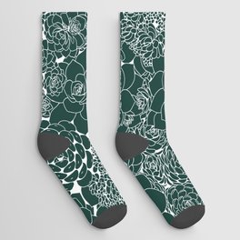 Succulent Line Drawing- Sansevieria Green Socks