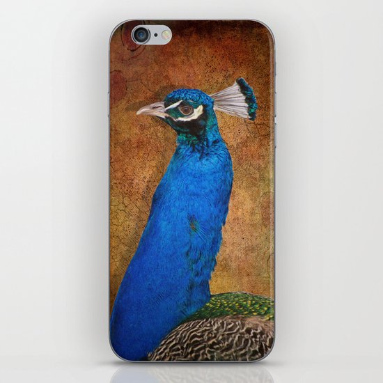 Peacock iPhone & iPod Skin