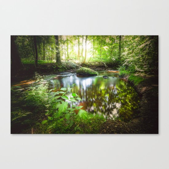 Who am I Canvas Print