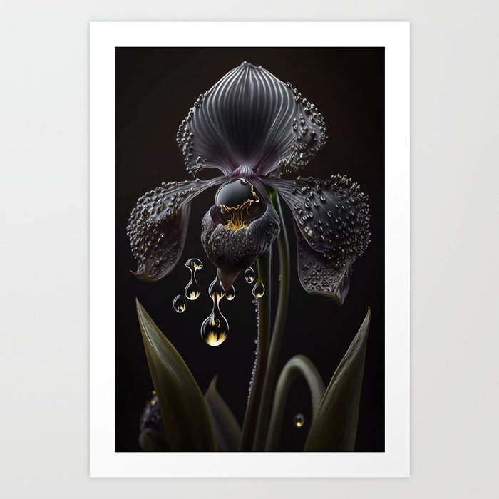 Black orchid flower Art Print