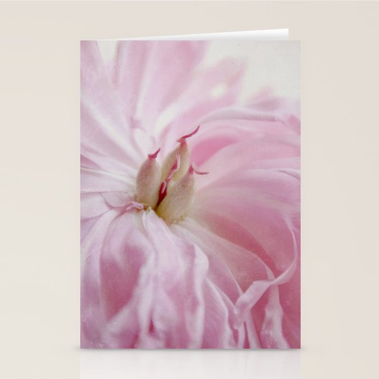 inside Stationery Cards