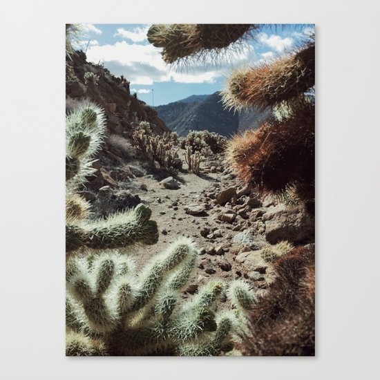 Cholla Frame Canvas Print