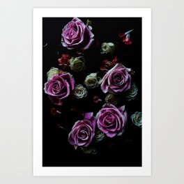 Dark Floral Pink Roses 2 Art Print