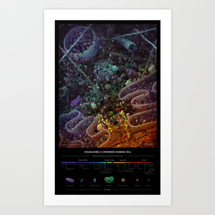 Visualizing a crowded human cell Art Print
