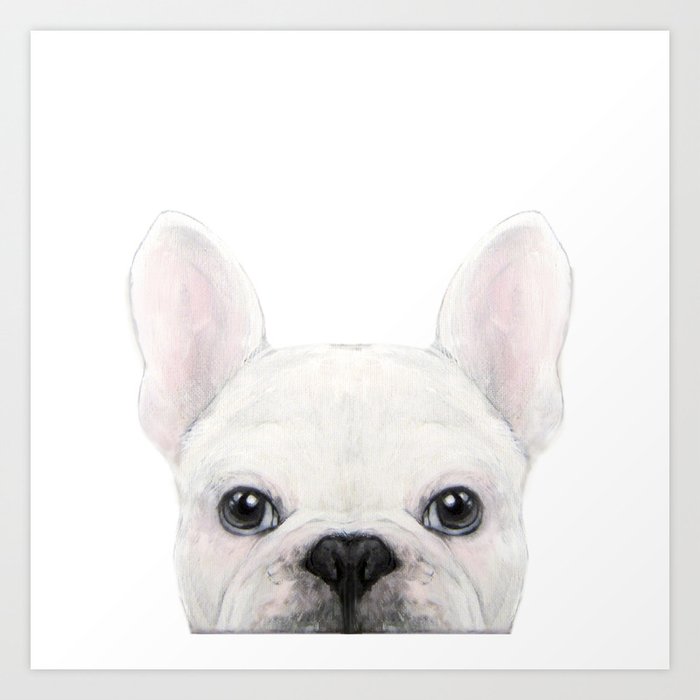 French Bulldog White Dog Illustration Original Painting Print Art