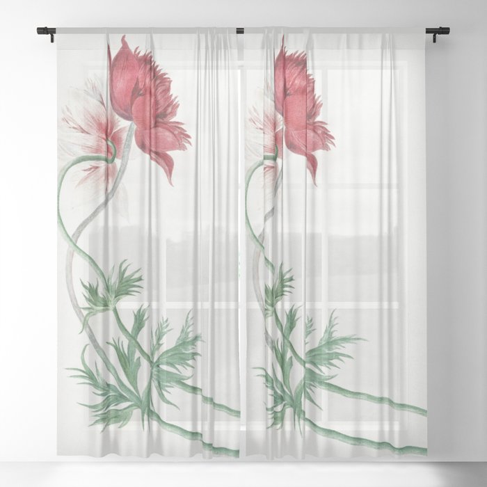 Two Branches with a Flower Sheer Curtain