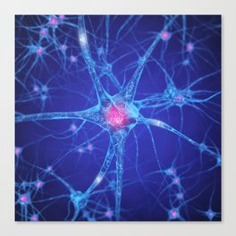 Neurons Canvas Print