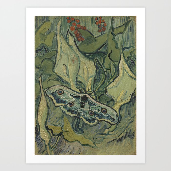 Vincent Van Gogh Great Peacok Moth Art Print