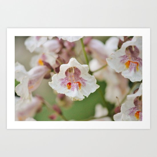 Blooming Chestnut Art Print
