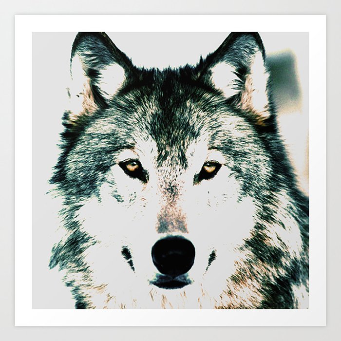 The Wolf Art Print