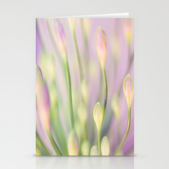 Lavender Nile Stationery Cards