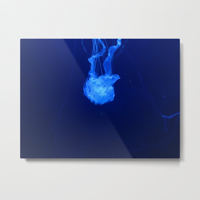 Jellyfish 3 Metal Print