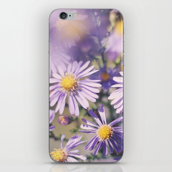 Sweet Morning iPhone & iPod Skin