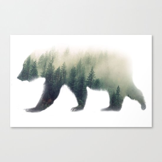 Grizzly Bear Dream Canvas Print