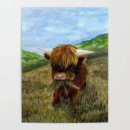 Baby highland cow Poster