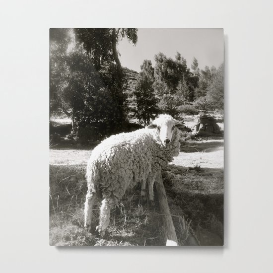 Baaahhh Metal Print