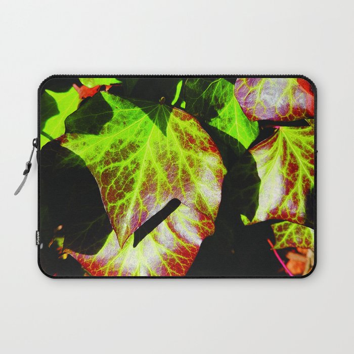 Red and green Ivy in January Laptop Sleeve