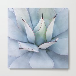 Mexico Photography - The Beautiful Agave Plant Metal Print | Photo, Guadalajara, Landscape, Arte, Usa, Puebla, Musica, Nature, Fotografia, Taco 