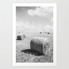 Farm Black and White Art Print