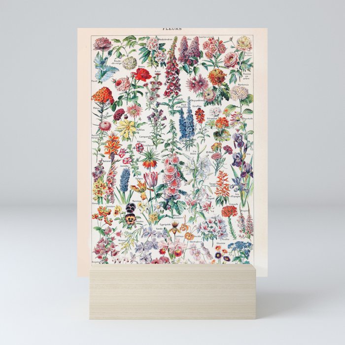 Adolphe Millot - Fleurs pour tous - French vintage poster Mini Art Print