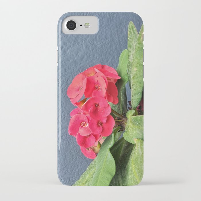 Euphorbia Milii iPhone Case