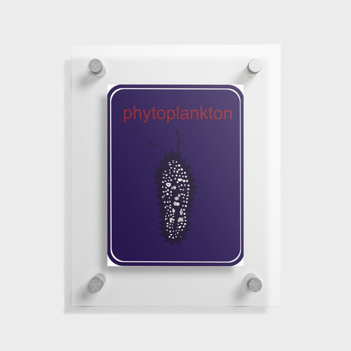 phytoplankton Floating Acrylic Print