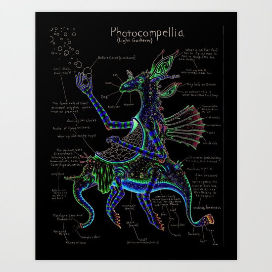 Photocompellia (light-gatherer) Art Print