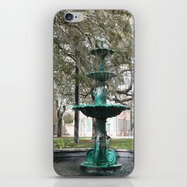 Savannah Fountain iPhone Skin