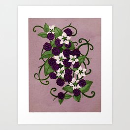 Flowering Blackberry Art Print