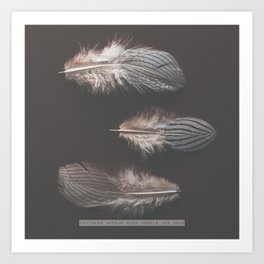 Feathers Print - Dark Brown - Bird Love - Angels - Quote - Feather Photography  Art Print