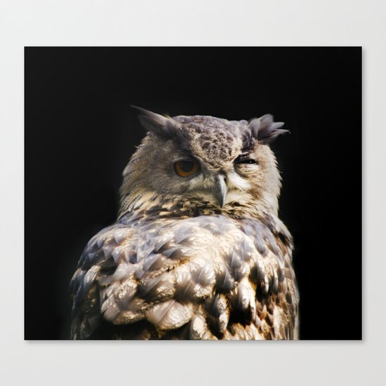 Owl wink Canvas Print