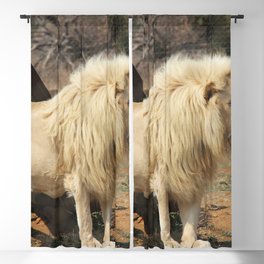 South Africa Photography - Beautiful Lion Standing By Some Timber Blackout Curtain