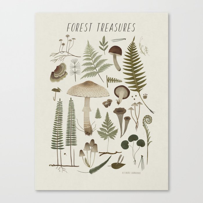 Forest treasures on light background Leinwanddruck Forest treasures on light background Leinwanddruck