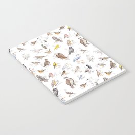 Birds of the Pacific Northwest Notebook