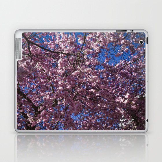 Cherry blossoms Laptop & iPad Skin