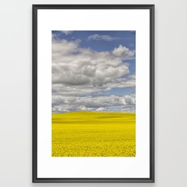 Yellow Canola Field Canadian Prairies Cloudscape Framed Art Print