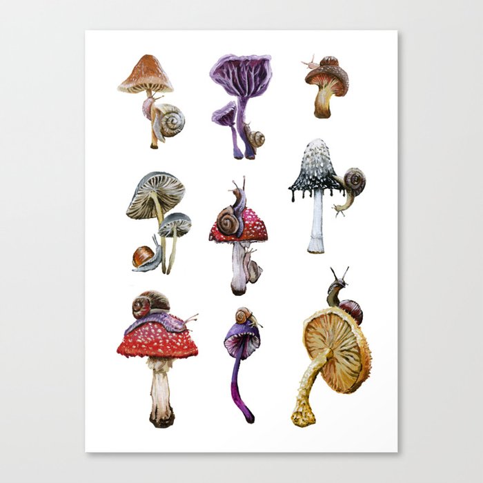 Mushrooms n Snails Canvas Print