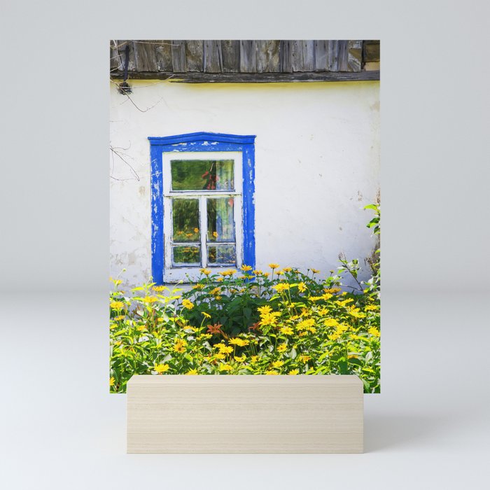Old rustic house with high yellow flowers in the garden Mini Art Print