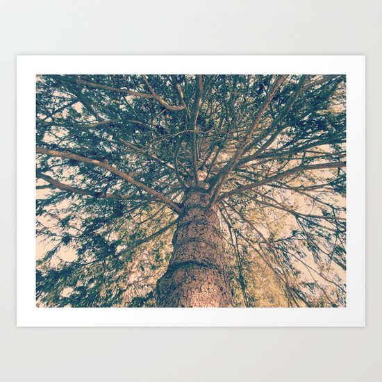 Ancient Wisdom Art Print