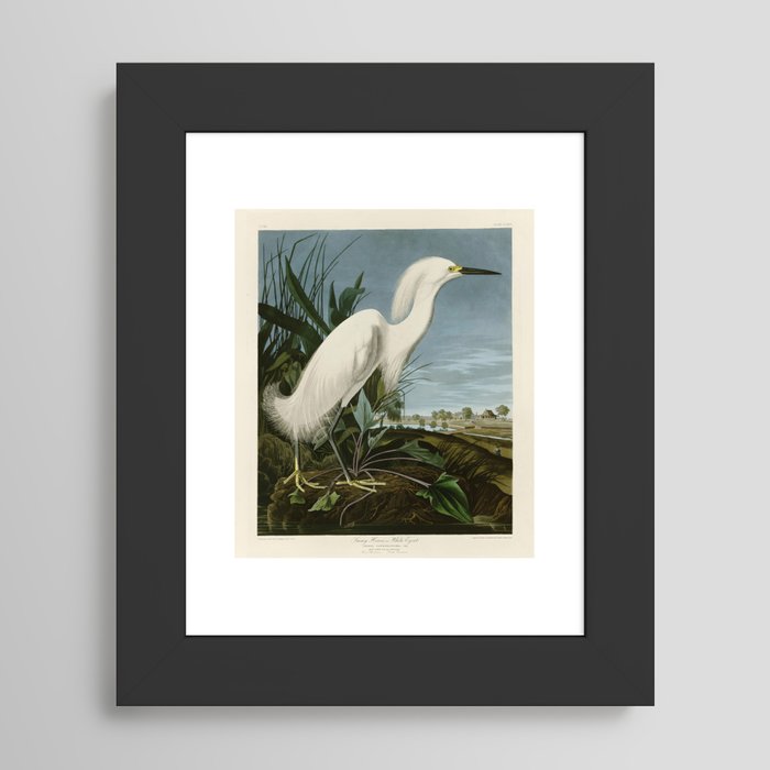 Framed Art Print