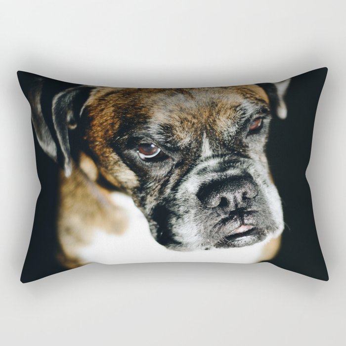 boxer dog pillow