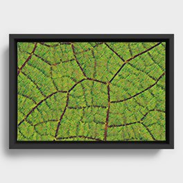 Green Leaf Texture Art Print Framed Canvas